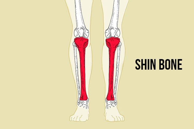 Best Basketball Shoes For Shin Splints in 2021